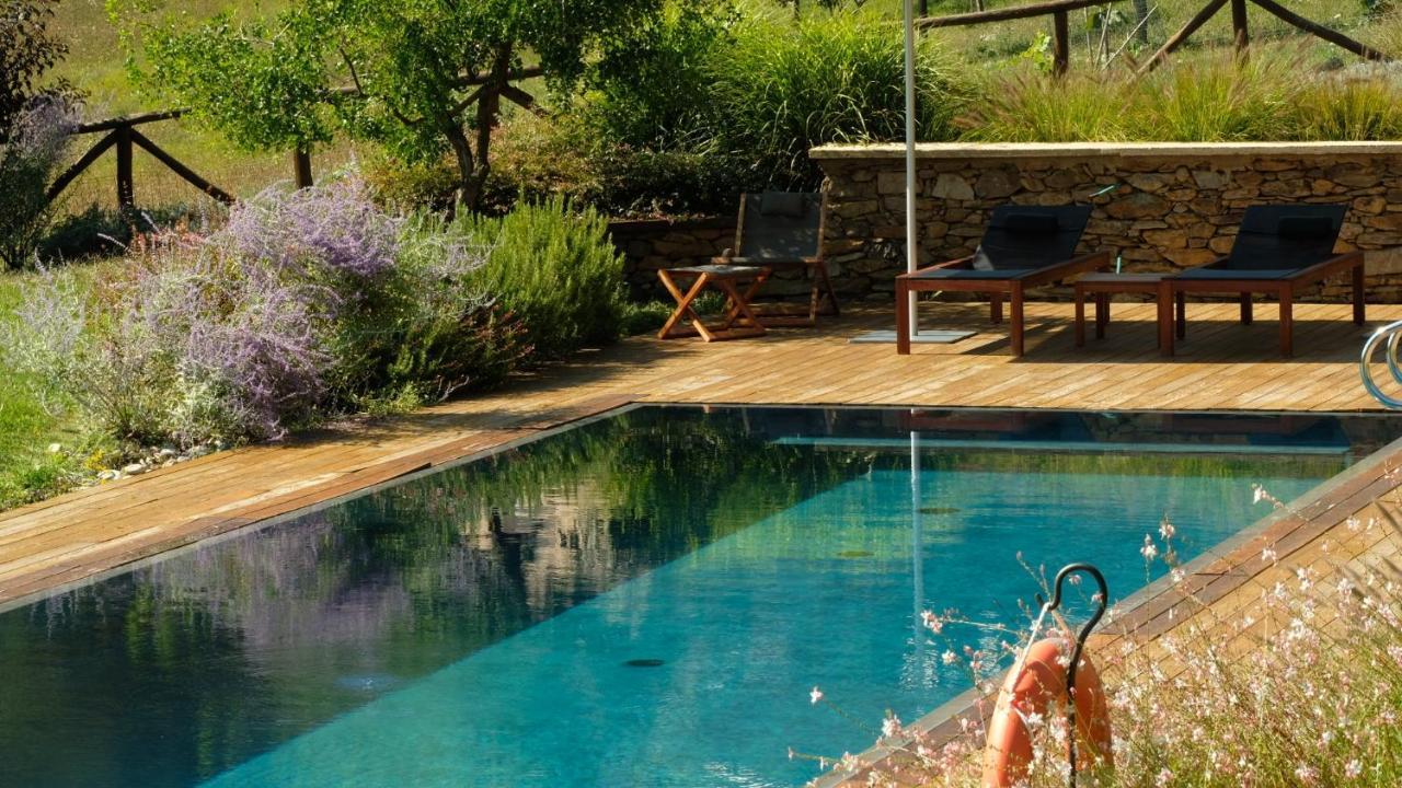 Dionisia'S Home, Pool, Spa On Monviso Unesco Alps Verzuolo 外观 照片