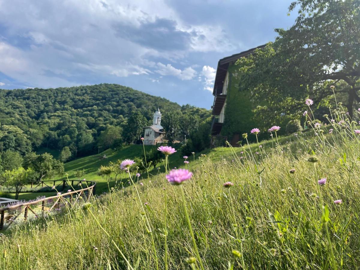 Dionisia'S Home, Pool, Spa On Monviso Unesco Alps Verzuolo 外观 照片